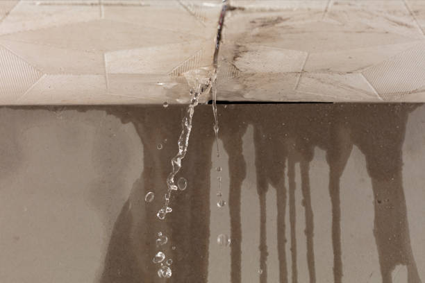 Professional Burst Pipe Cleanup technician working in Prince Frederick, MD